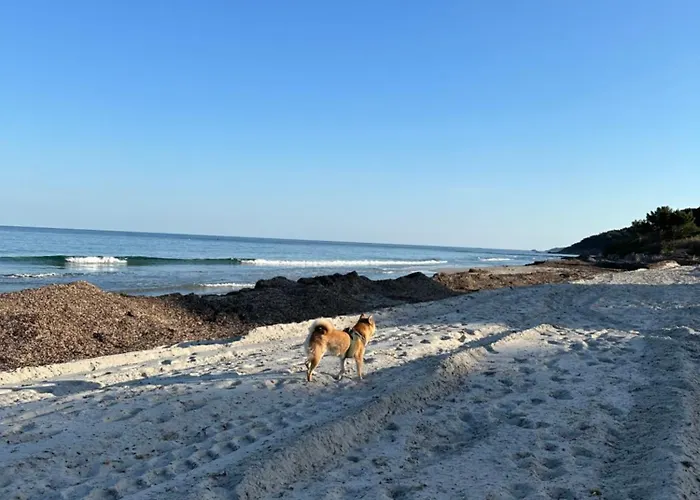 Plage des Salins Parc des Salins St Tropez